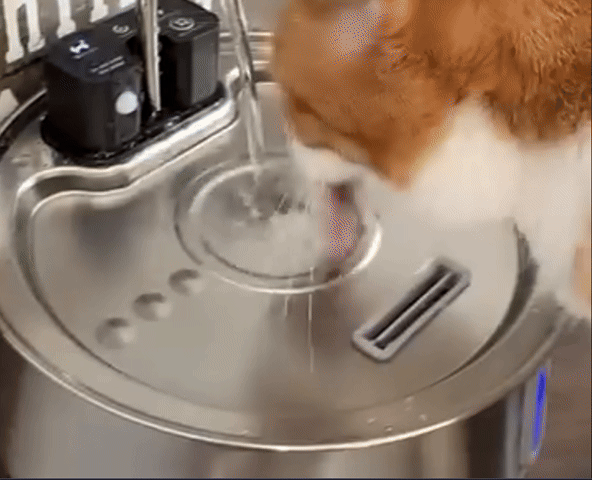 Fontaine sans fil AquaPurr™ 2.0 – Hydratation pure et silencieuse pour chats heureux 🐾 -70%